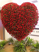 chiem nguong bo hoa hong 140 trieu mung valentine o sai gon