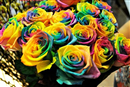 valentine gia hoa tuoi thay doi tung gio