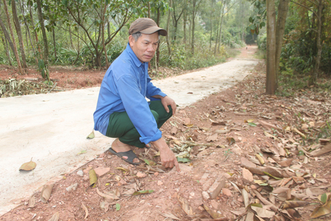Kỳ bí chùa cổ trên mình rồng xôn xao ở Bắc Giang