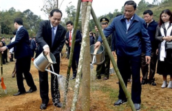 chu tich nuoc thu tuong cung phat dong tet trong cay doi doi nho on bac ho