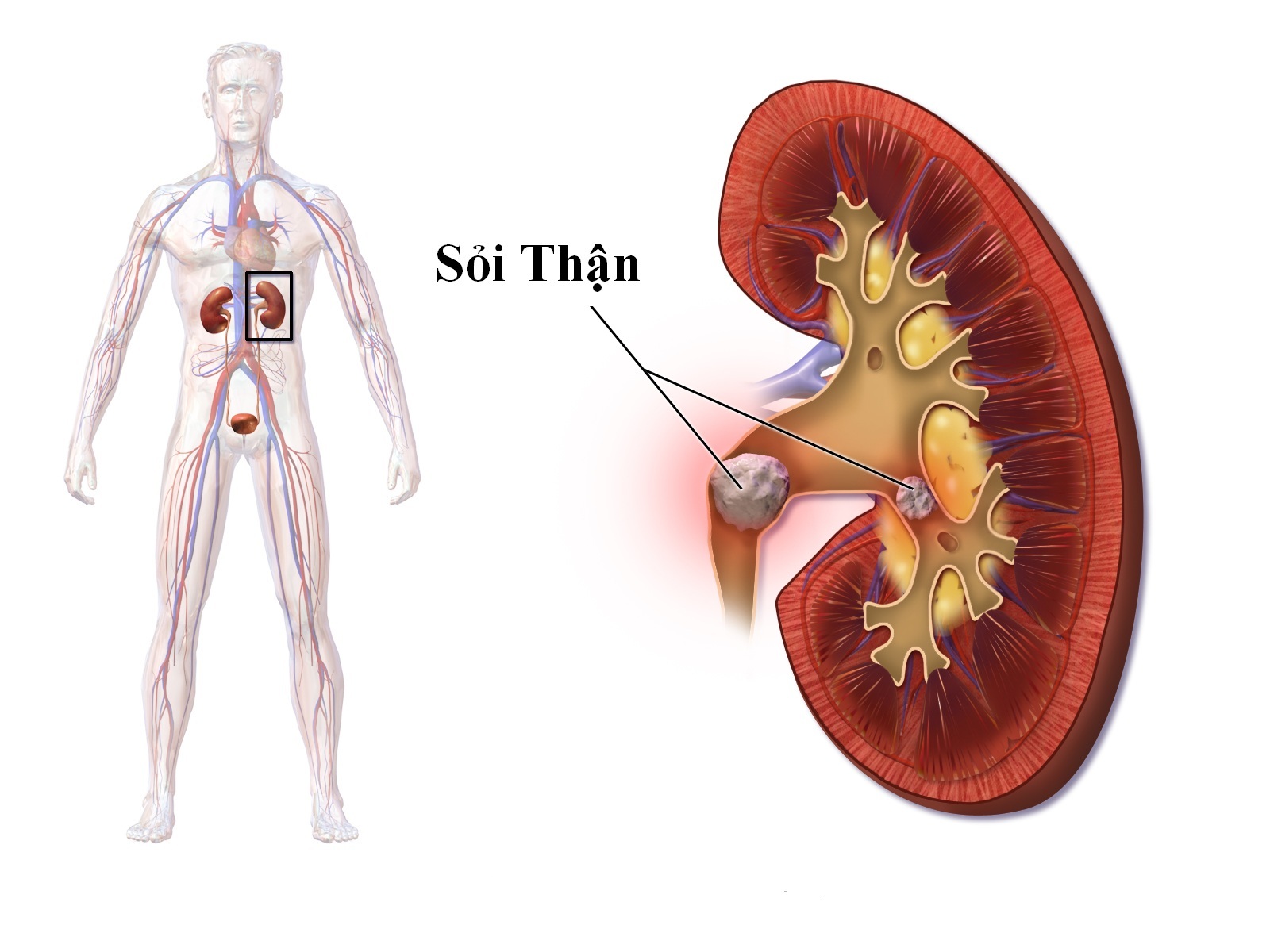 10 căn bệnh ai cũng c&oacute; thể mắc phải khi đạt đến độ tuổi 40