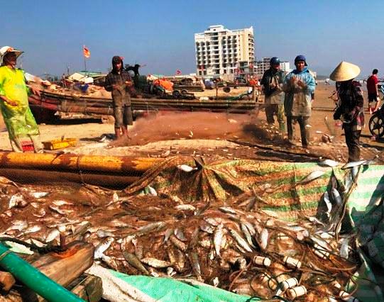 Ngư d&acirc;n hồ hởi &ldquo;x&ocirc;ng&rdquo; biển đ&oacute;n lộc đầu năm