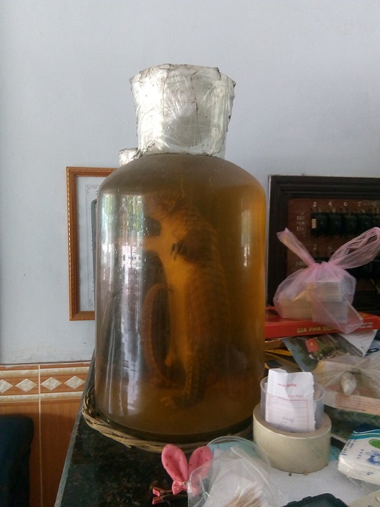 Trong năm 2018, hơn 500 c&aacute; thể động vật hoang d&atilde; đ&atilde; được giải cứu