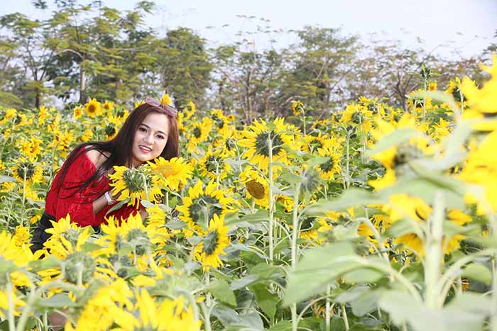 &ldquo;Quảng Ninh thu nhỏ&rdquo; thật độc đ&aacute;o trong Lễ hội hoa xu&acirc;n tại Sun World Halong Complex