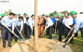 thu tuong mong moi gia dinh thu do trong mot cay tao net dep moi cua ha thanh