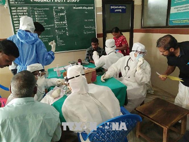 Đẩy nhanh nghi&ecirc;n cứu vaccine ngừa virus Nipah g&acirc;y tổn thương n&atilde;o bộ