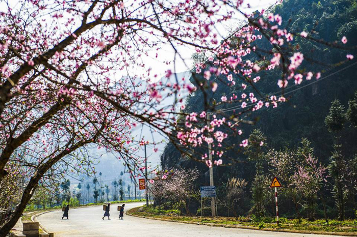 Du xu&acirc;n kh&aacute;m ph&aacute; trọn vẹn văn h&oacute;a Việt theo chiều d&agrave;i đất nước