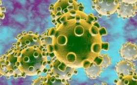 tong hoi y hoc viet nam to chuc phong chong dich benh virus corona ncov
