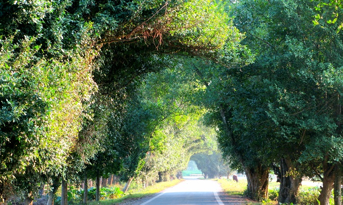 Xuân qua miền cổ sử