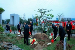 huong ung thong diep trong mot ty cay xanh vi mot viet nam xanh