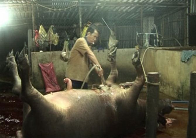Mu&amp;amp;ocirc;n kiểu &amp;amp;quot;ph&amp;amp;ugrave; ph&amp;amp;eacute;p&amp;amp;quot; thực phẩm tại chợ - Ảnh 3