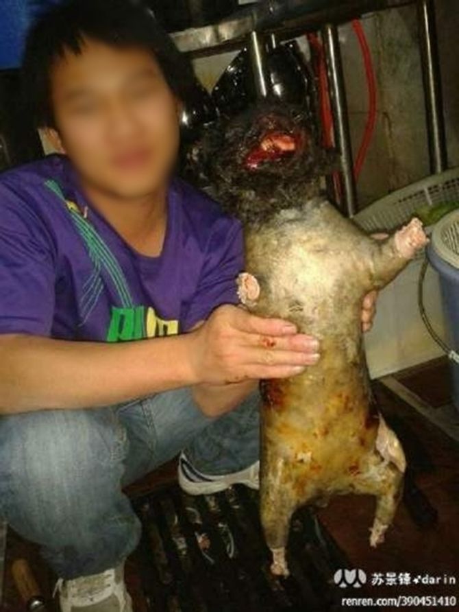 Phẫn nộ ch&amp;amp;agrave;ng trai đăng ảnh khoe &amp;amp;quot;chiến t&amp;amp;iacute;ch giết m&amp;amp;egrave;o&amp;amp;quot; t&amp;amp;agrave;n &amp;amp;aacute;c - Ảnh 2