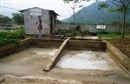 thanh hoa nha may tinh bot san ba thuoc bi phat hon 300 trieu dong