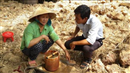dieu tri suy dinh duong cap tinh cho gan 8000 tre em duoi 5 tuoi
