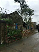 ha tinh dam nguoi rach mang tim tai lo mo vi tieng lon keu