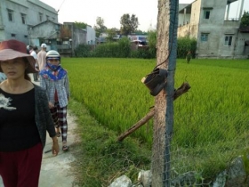 quang nam keo dien ra dong de bay chuot 2 vo chong thuong vong