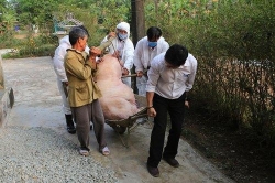 dich ta lon chau phi da xuat hien o hue