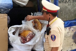 quang nam bat giu xe khach van chuyen gan 200kg thit lon ban