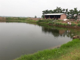 gia lai 2 em hoc sinh tu vong do duoi nuoc