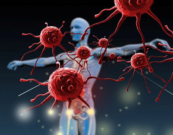 Hệ miễn dịch tấn công virus như thế nào?