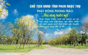 ubnd tinh thua thien hue phat dong phong trao mai vang truoc ngo