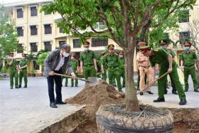 tu phong trao mai vang truoc ngo de hue tro thanh xu so mai vang cua viet nam