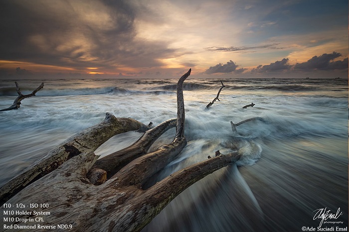 Sử dụng filter như thế nào để có được bức ảnh như ý?