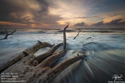 su dung filter nhu the nao de co duoc buc anh nhu y