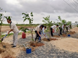cac tinh trien khai de an trong mot ty cay xanh