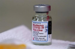 bo y te tang han su dung cho vaccine phong covid 19 moderna tu 7 len 9 thang