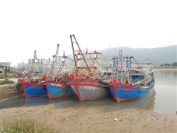 xanh hoa cang ca thanh hoa