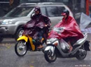 mien bac lai mua am