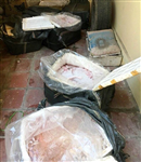 nghe an bat giu 4 ta noi tang dong vat boc mui hoi thoi chuan bi len ban nhau