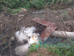 ha noi lo mo gia xuc cua cong ty co phan thinh an xa thai gay o nhiem moi truong nghiem trong