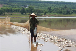 binh phuoc ca chet trang dap thiet hai hang ti dong