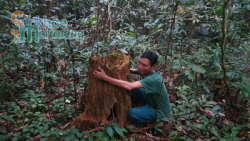 tinh hoa binh lieu co can tro bao chi tac nghiep