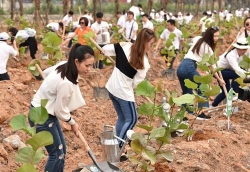 10000 cay xanh duoc gieo trong trong chien dich go green 2019
