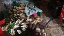 tphcm phat hien gan 2 tan ngo sen chuoi bao ngam hoa chat