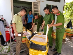 can tho phat hien gan 500 kg nam heo sun ga khong ro nguon goc