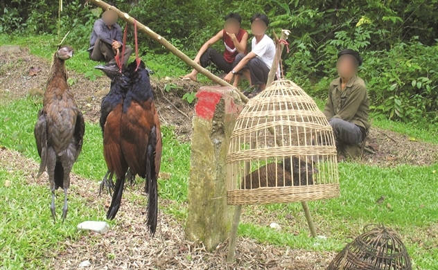 UNEP: 75% dịch bệnh ở người lây từ động vật