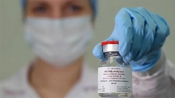 nga cap phep cho thuoc dieu tri covid 19