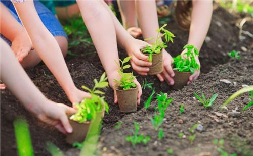 Phê duyệt đề án trồng một tỷ cây xanh giai đoạn 2021-2025