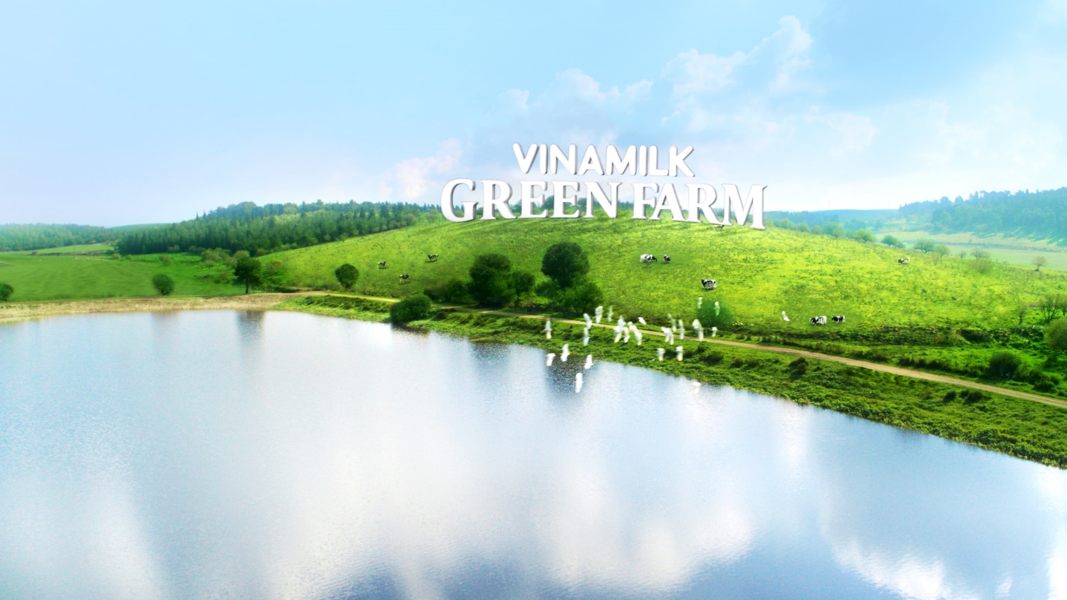 Sữa tươi Green Farm từ trang trại sinh thái