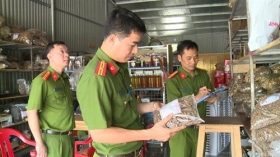 vinh phuc cong an phat hien hon 13 tan duoc lieu khong ro nguon goc