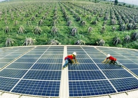 Đưa mức phát thải ròng về "0" vào năm 2050