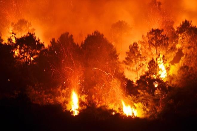 New Mexico (Mỹ): Cháy rừng khiến hàng nghìn người di tán