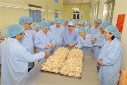 Khảo sát công tác chuẩn bị thực hiện các yêu cầu quy định tại Nghị định thư xuất khẩu tổ Yến sang Trung Quốc