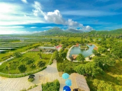 “Thiên đường mùa hè” ở khu điện mặt trời An Hảo