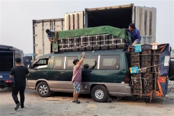 An Giang: Cần cải thiện điều kiện lưu thông thuận lợi để gỡ khó cho thương buôn hàng xuất khẩu