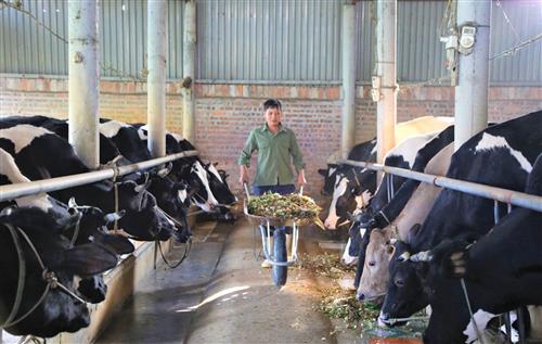 Ứng dụng khoa học công nghệ trong xây dựng thương hiệu